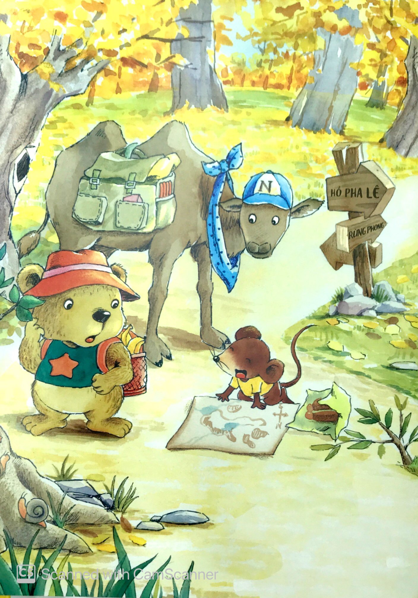 con thuyền sa mạc