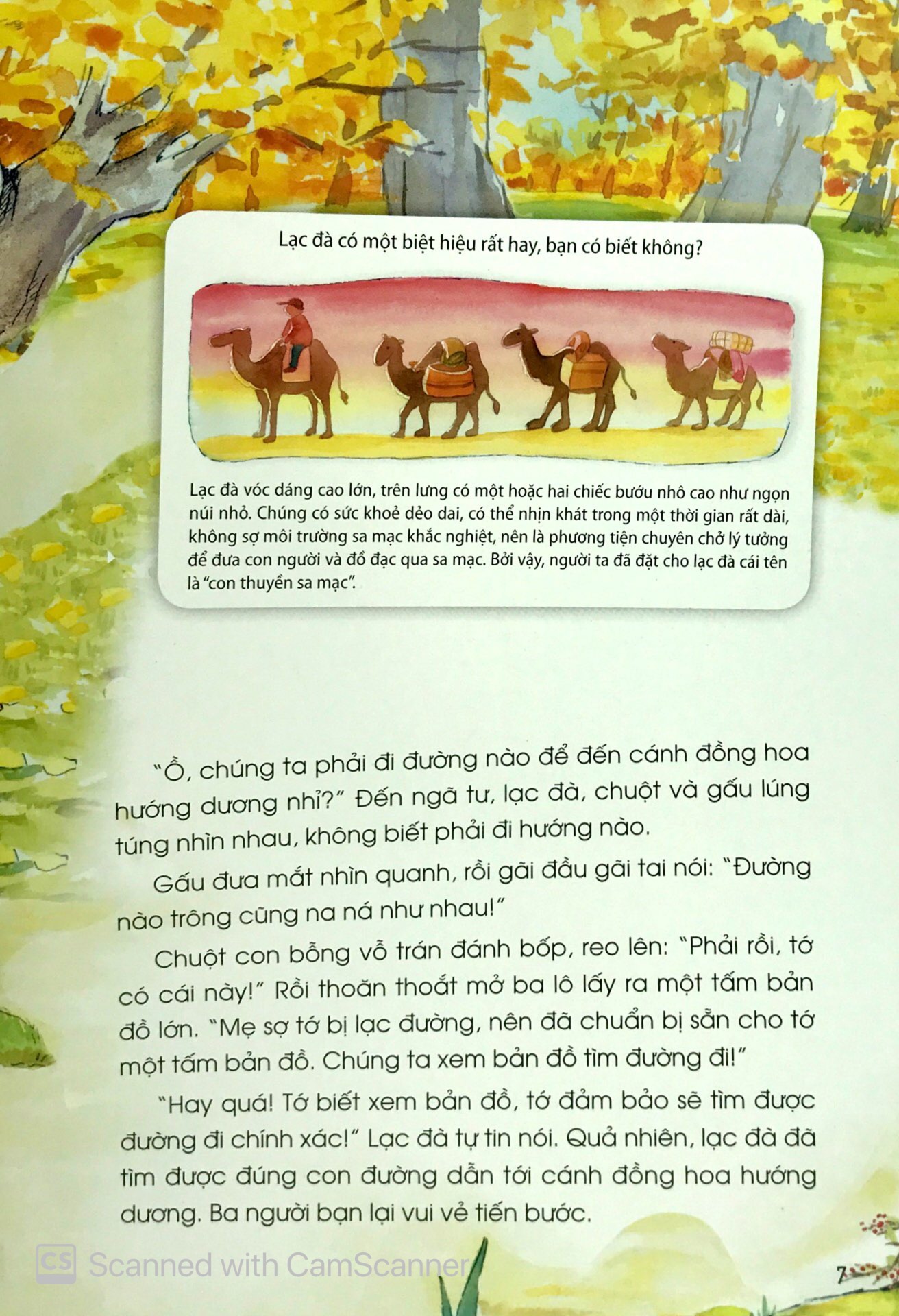 con thuyền sa mạc