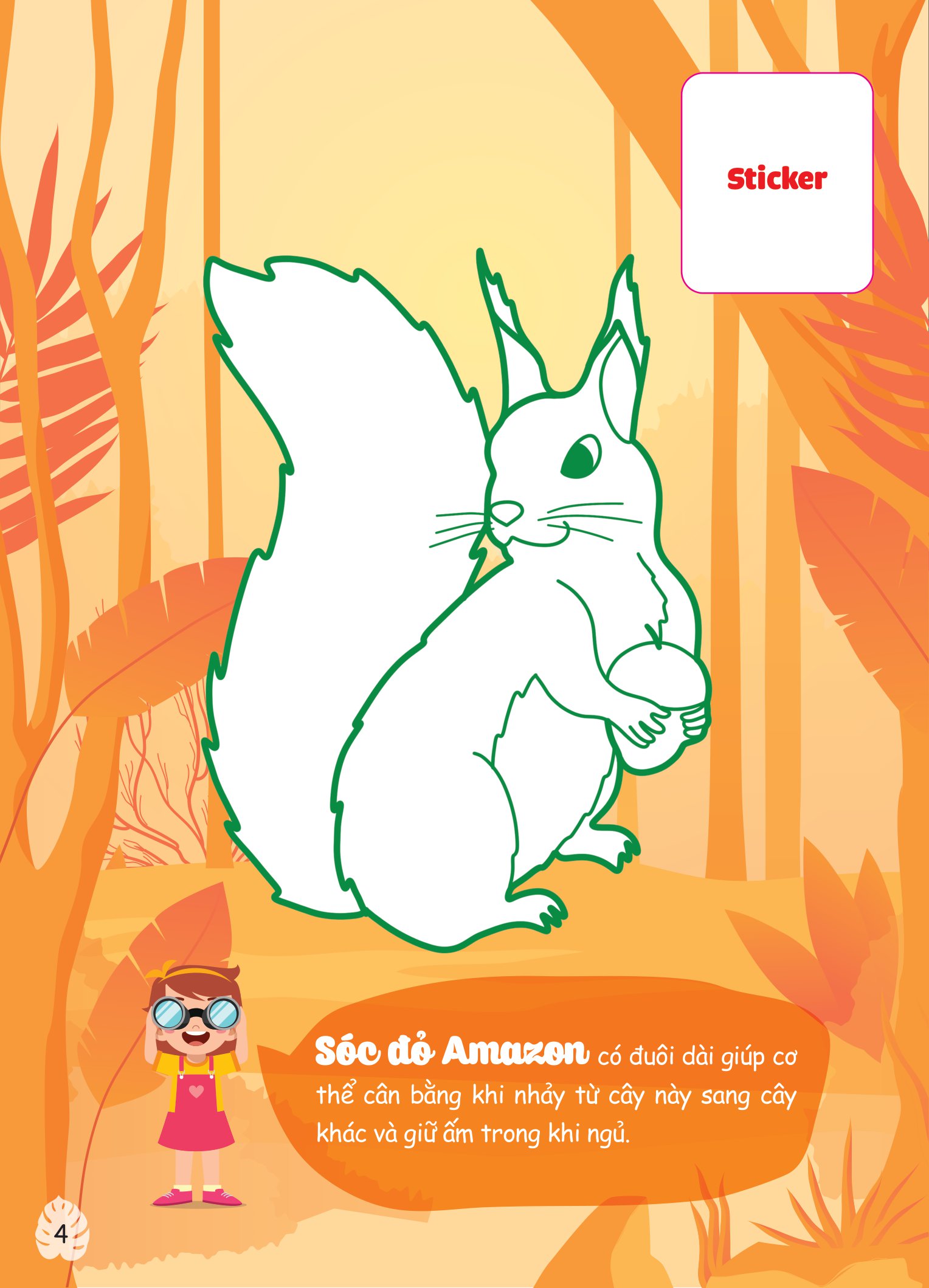 con tô màu - thám hiểm amazon