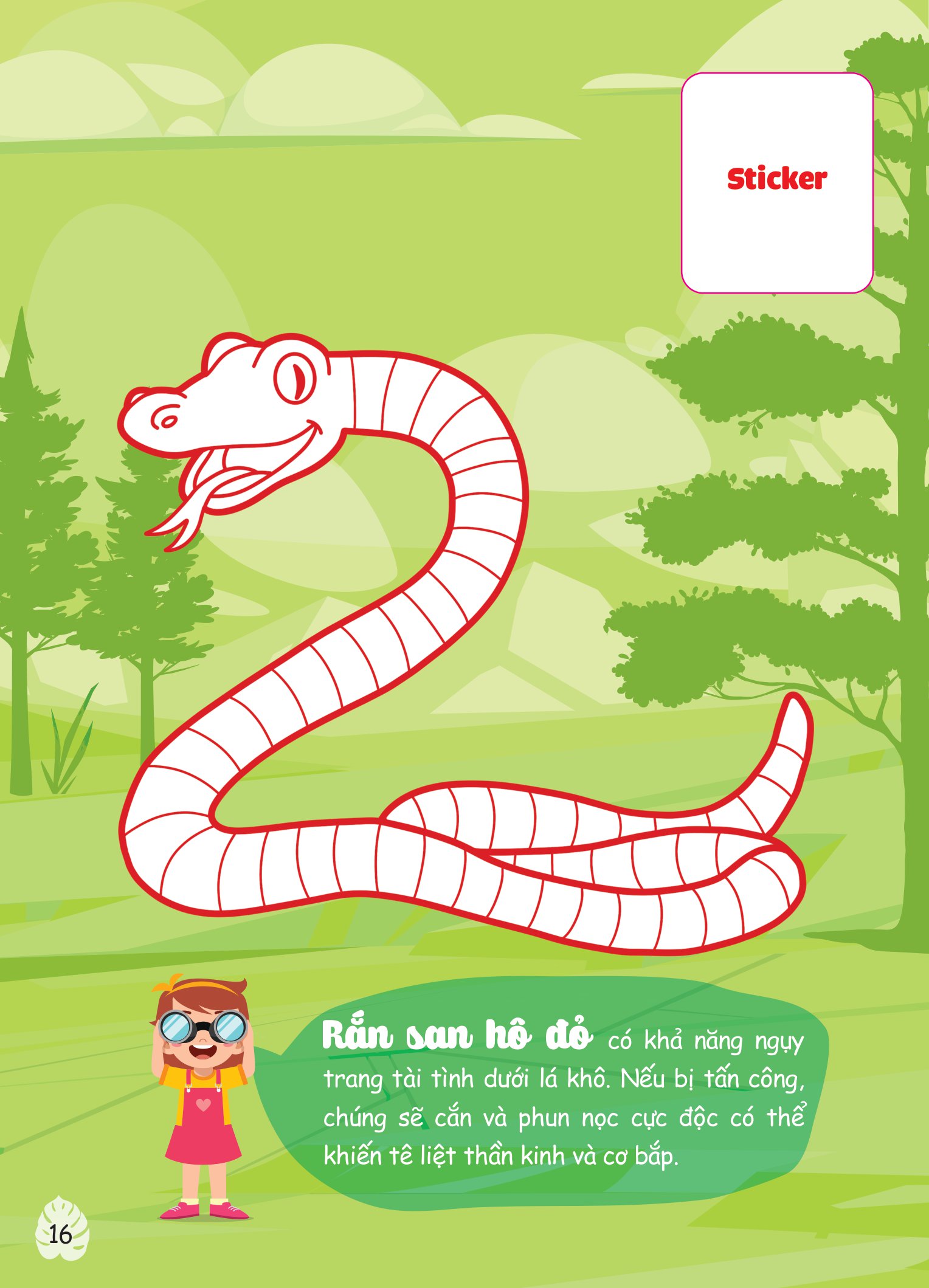 con tô màu - thám hiểm amazon