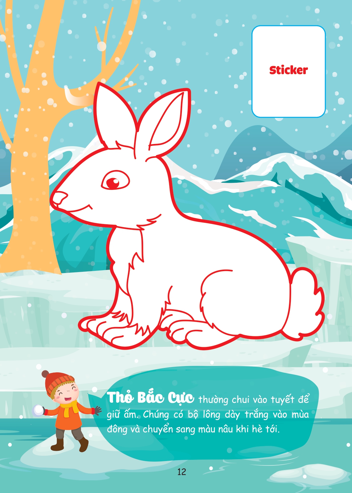 con tô màu - thám hiểm bắc cực