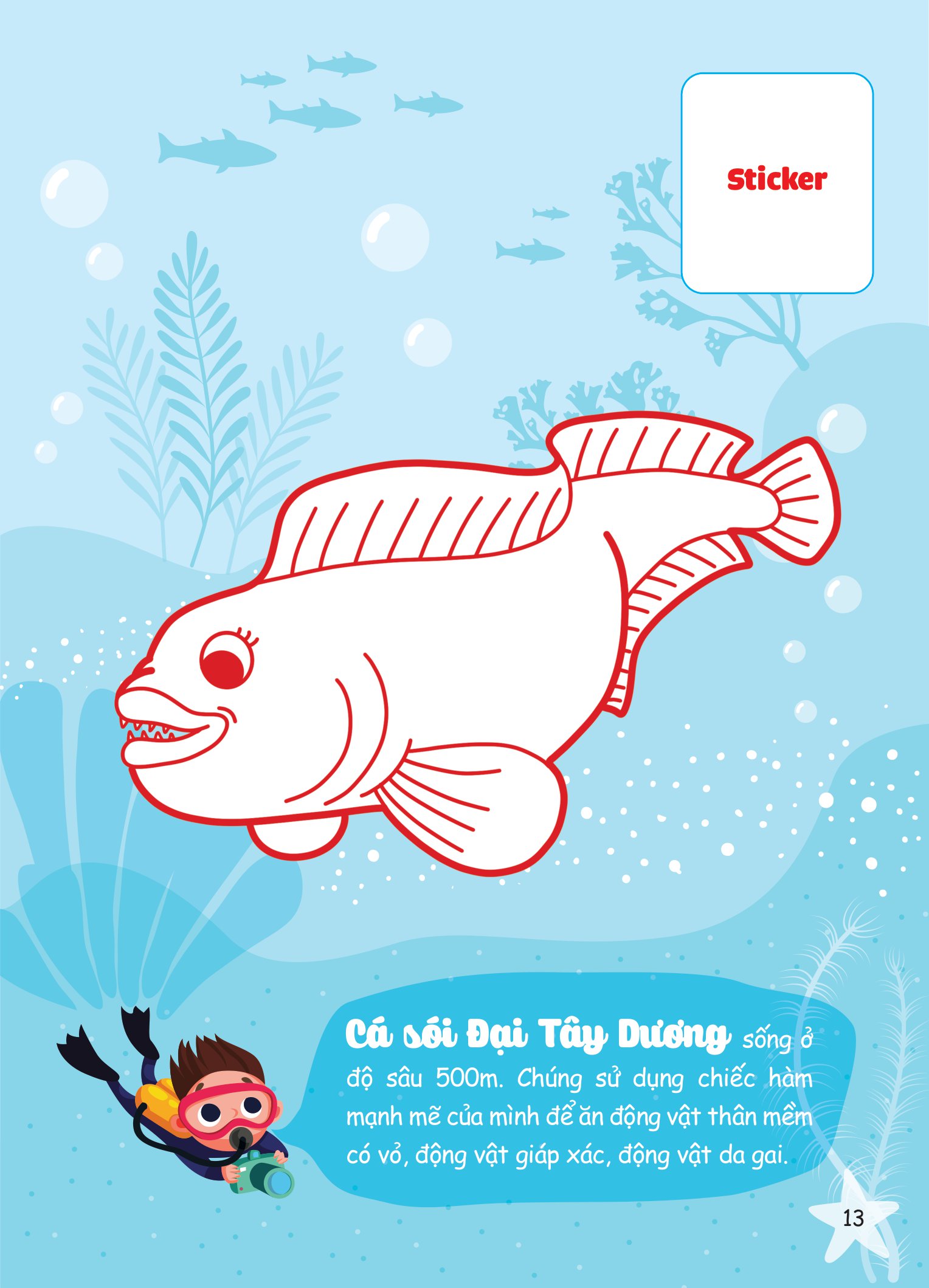 con tô màu - thám hiểm đáy biển sâu