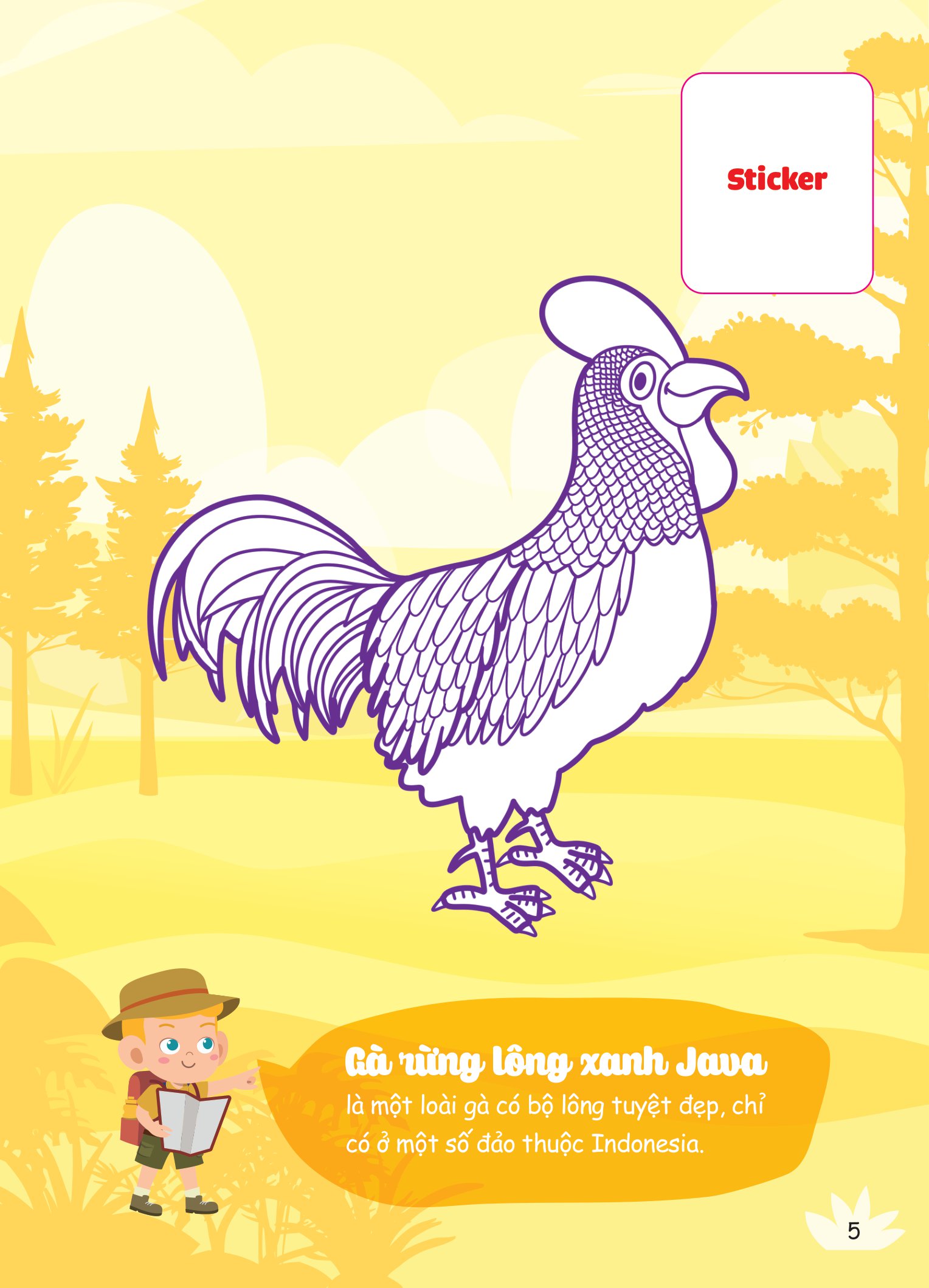 con tô màu - thám hiểm rừng nhiệt đới