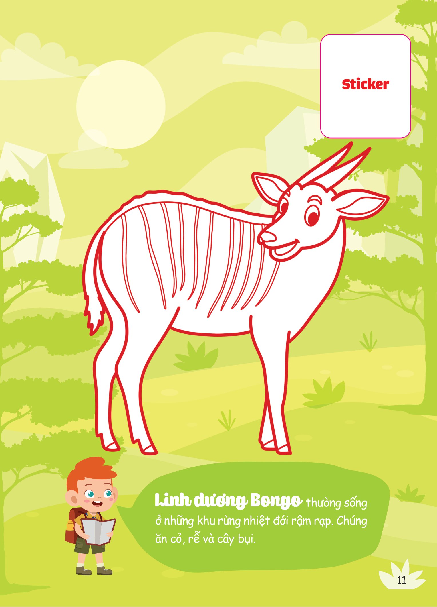 con tô màu - thám hiểm rừng nhiệt đới