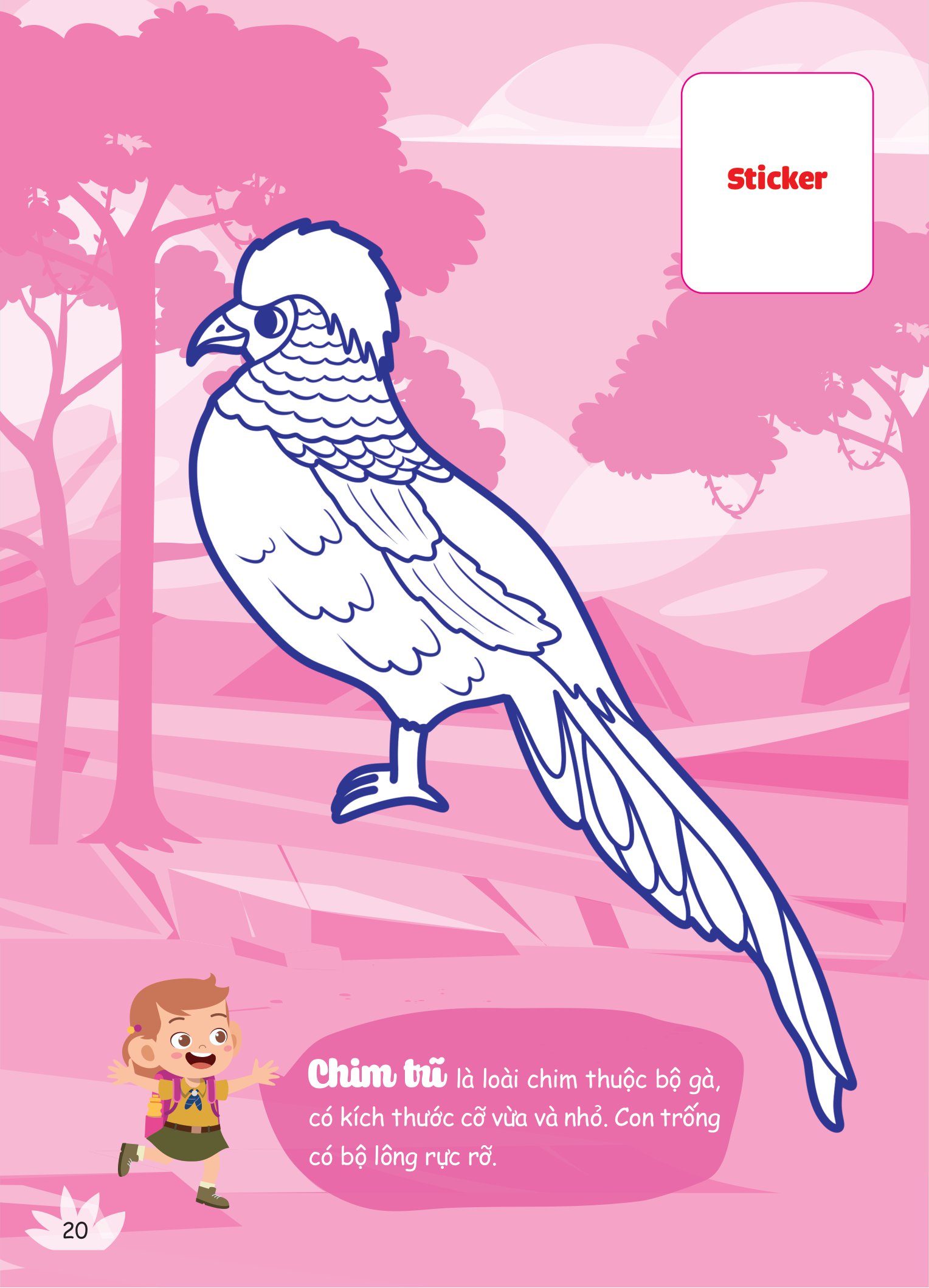 con tô màu - thám hiểm rừng nhiệt đới