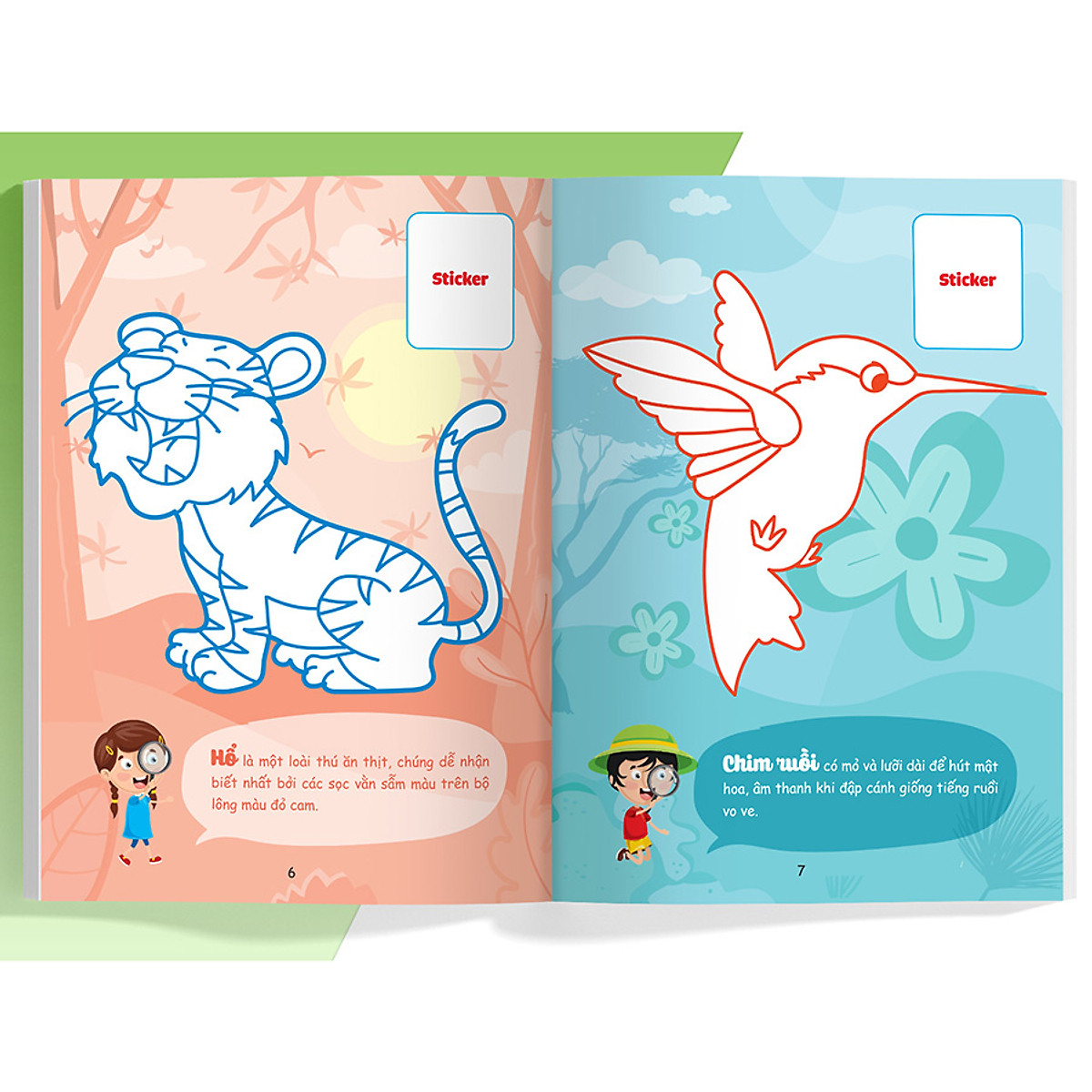 con tô màu - thám hiểm rừng xanh