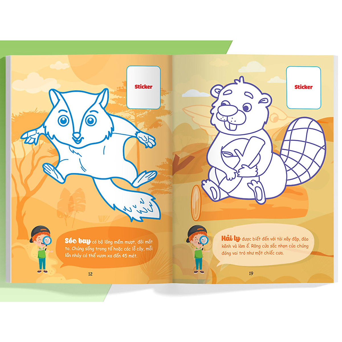 con tô màu - thám hiểm rừng xanh