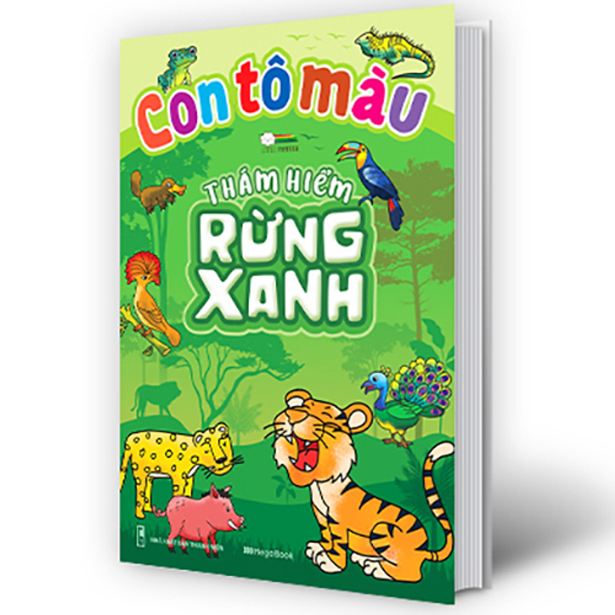 con tô màu - thám hiểm rừng xanh