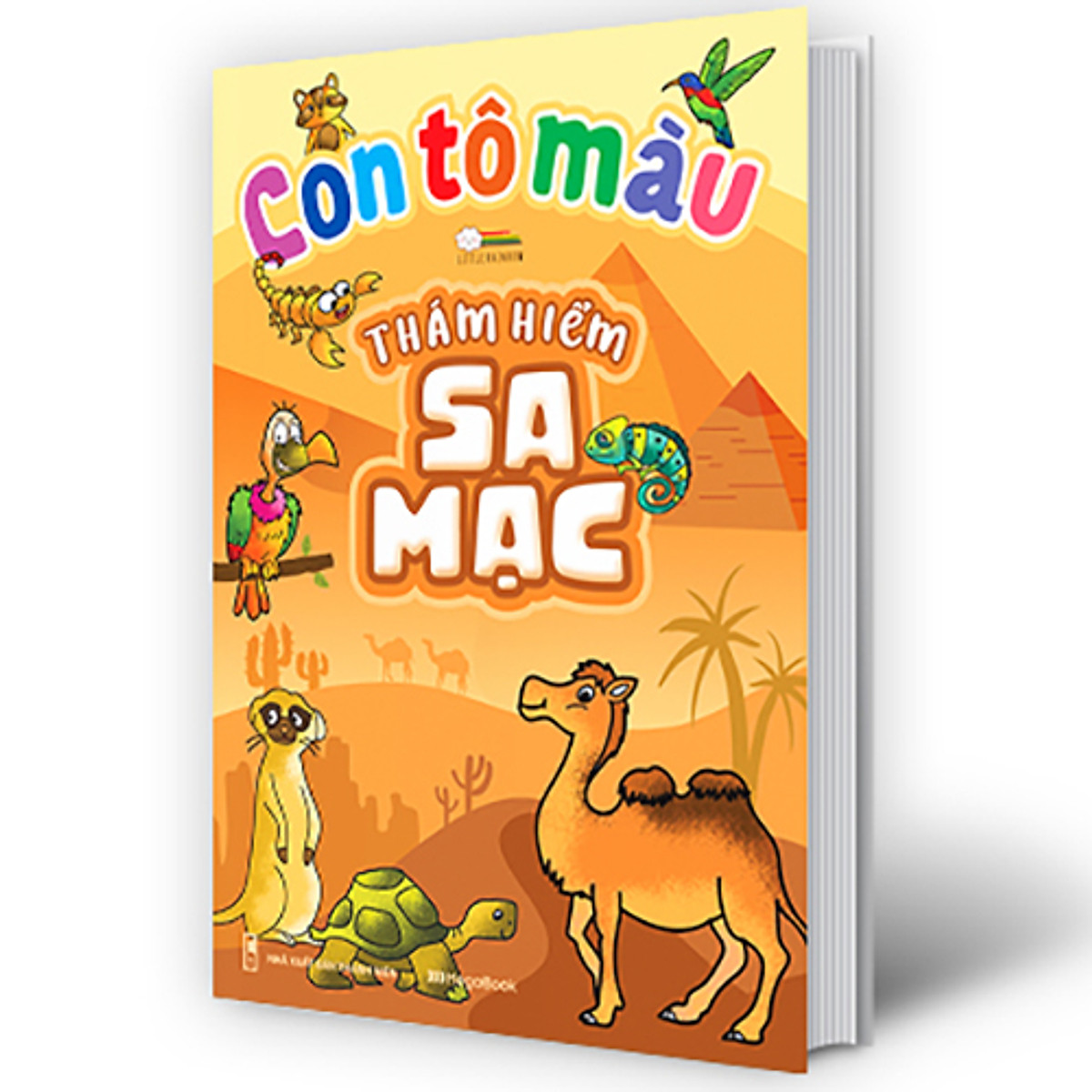 con tô màu - thám hiểm sa mạc