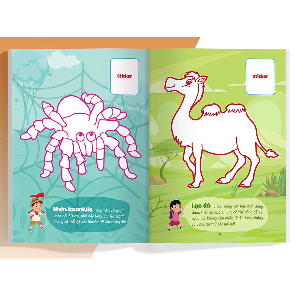 con tô màu - thám hiểm sa mạc