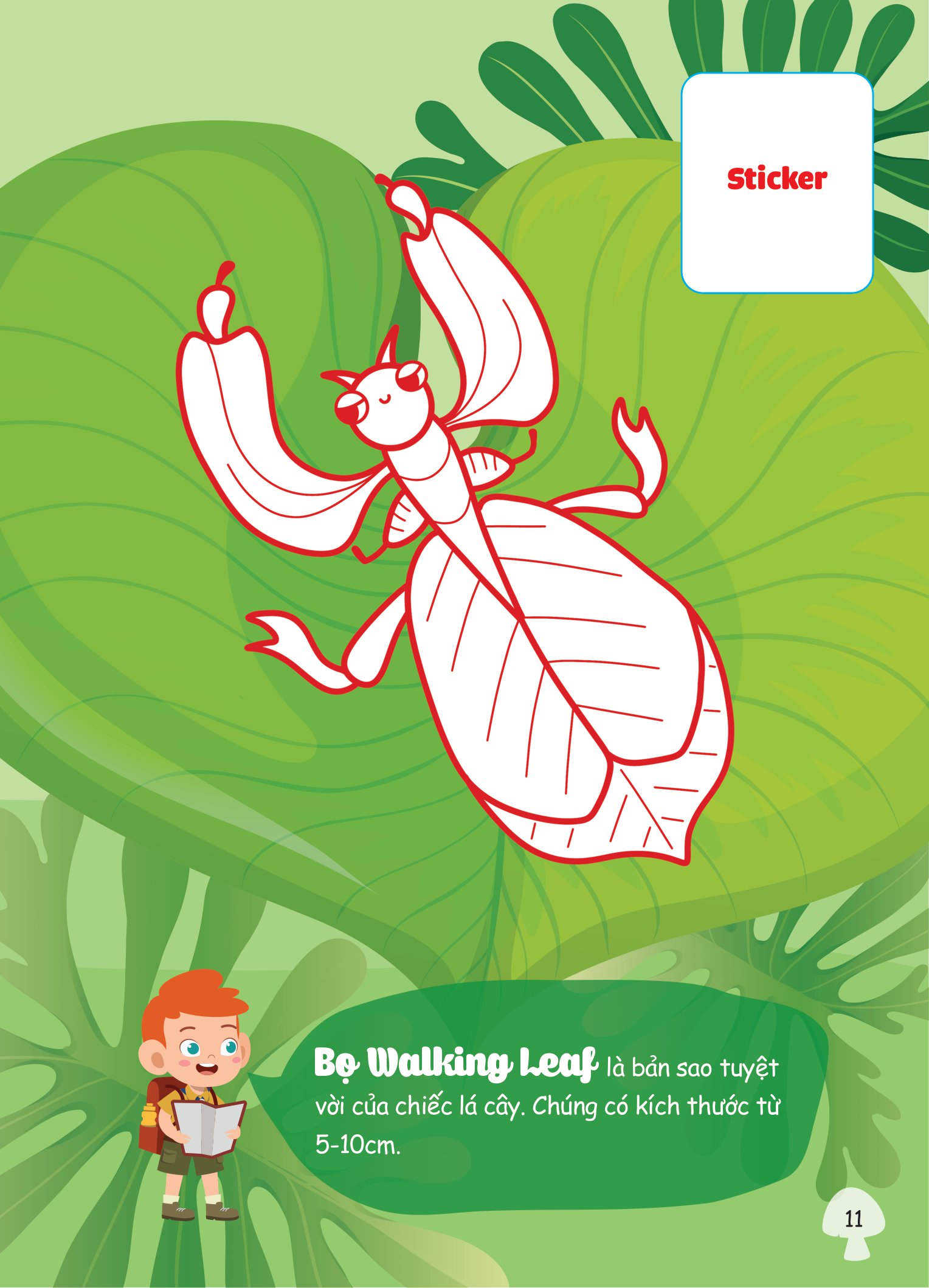 con tô màu - thám hiểm thế giới côn trùng