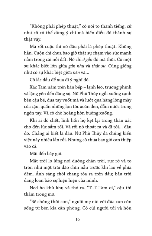 con trai phù thủy - the witch's boy