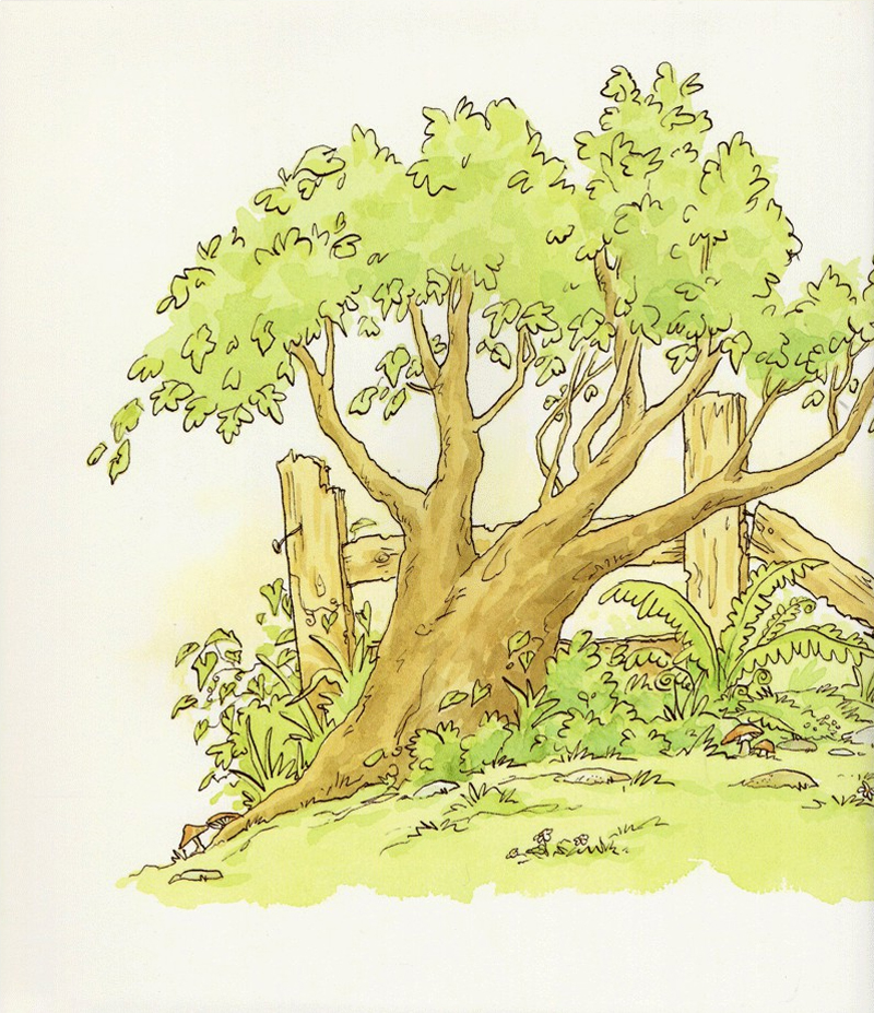 con yêu bố chừng nào (tái bản)