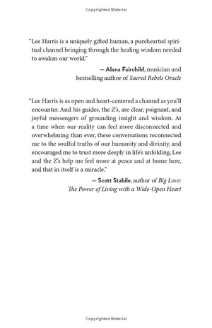 conversations with the z's, book one: the energetics of the new human soul