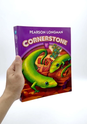 cornerstone 2013 student edition grade 3