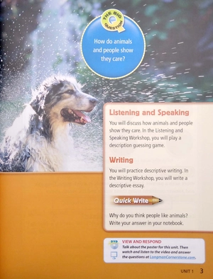 cornerstone 2013 student edition grade 4