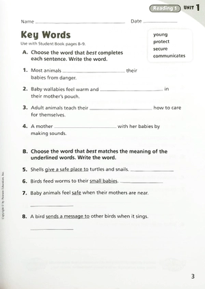 cornerstone 2013 workbook book grade 4