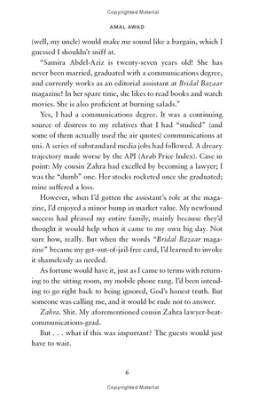 courting samira - a novel