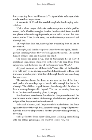 crescent city - book 2 - house of sky and breath