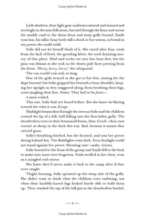 crescent city - book 2 - house of sky and breath