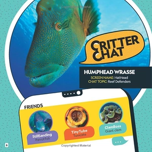 critter chat - world wild web