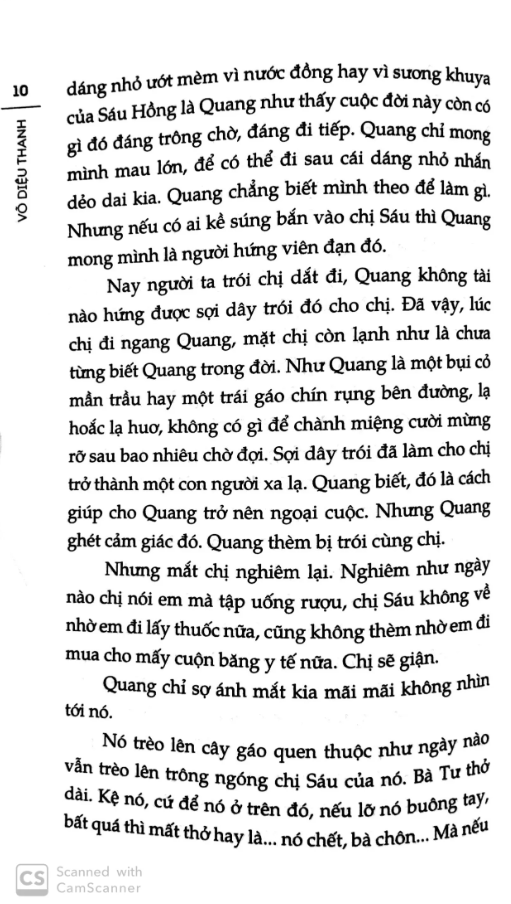 cửa sổ hình tia chớp