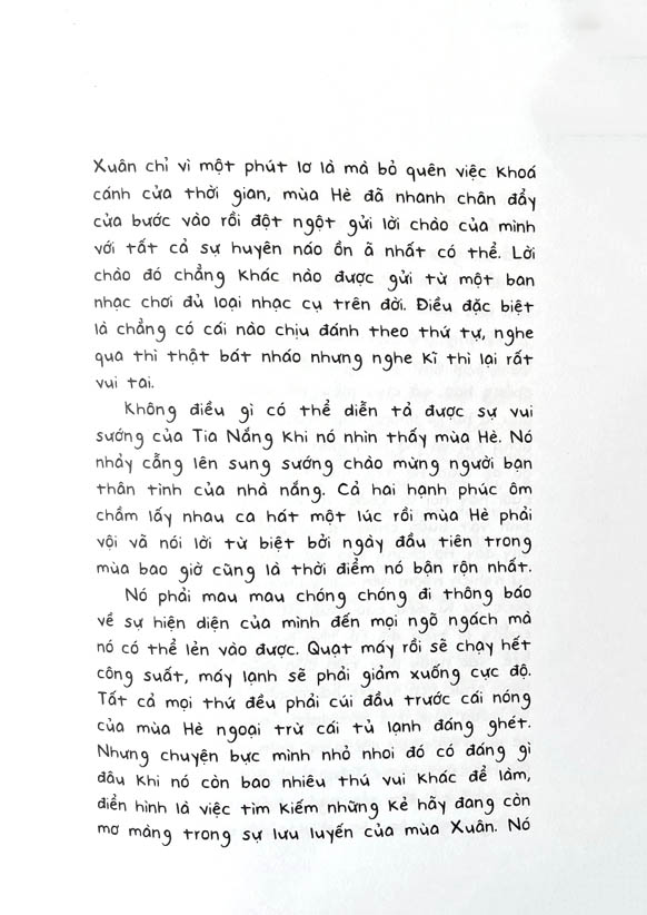 cúc dại và tia nắng