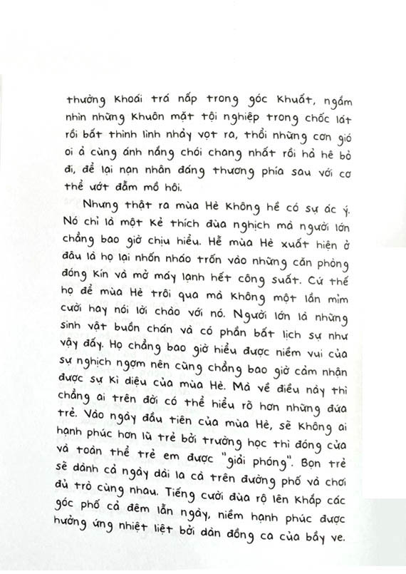 cúc dại và tia nắng