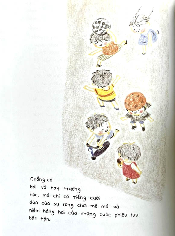 cúc dại và tia nắng