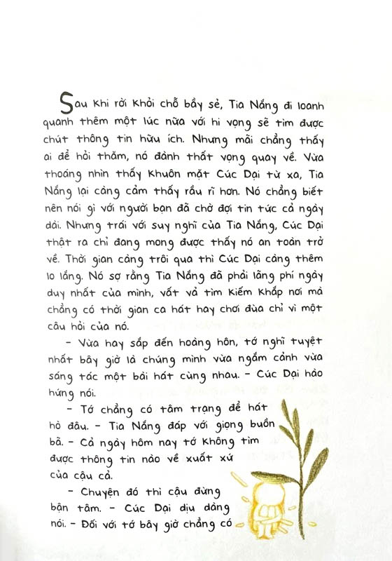 cúc dại và tia nắng