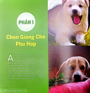 cún cưng a đến z - những bí quyết giúp cún cưng khỏe mạnh và hạnh phúc