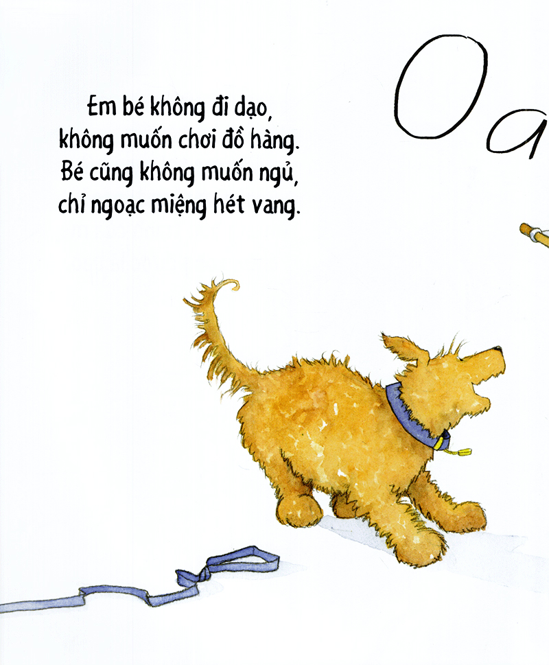 cún cưng đi dạo - những bài ca gia đình ấm áp