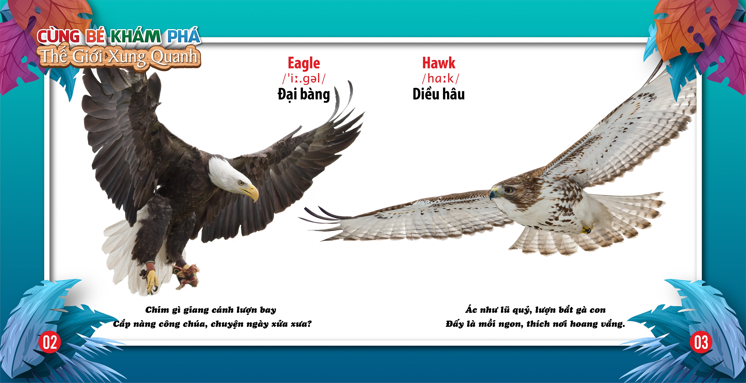 cùng bé khám phá thế giới xung quanh - chim (sách song ngữ)