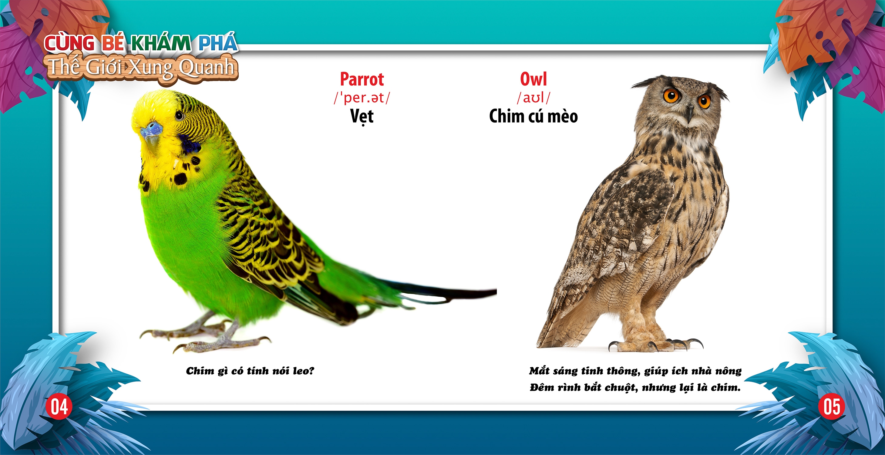 cùng bé khám phá thế giới xung quanh - chim (sách song ngữ)