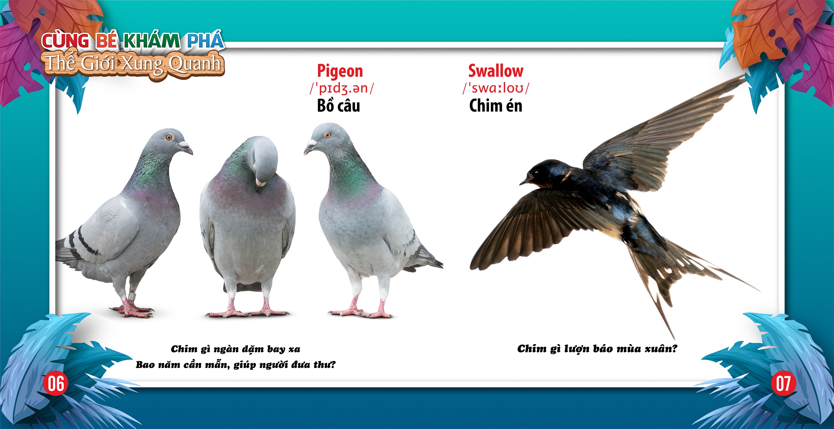 cùng bé khám phá thế giới xung quanh - chim (sách song ngữ)