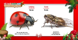 cùng bé khám phá thế giới xung quanh - côn trùng (sách song ngữ)