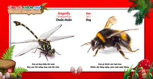 cùng bé khám phá thế giới xung quanh - côn trùng (sách song ngữ)