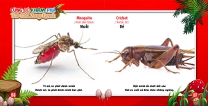 cùng bé khám phá thế giới xung quanh - côn trùng (sách song ngữ)