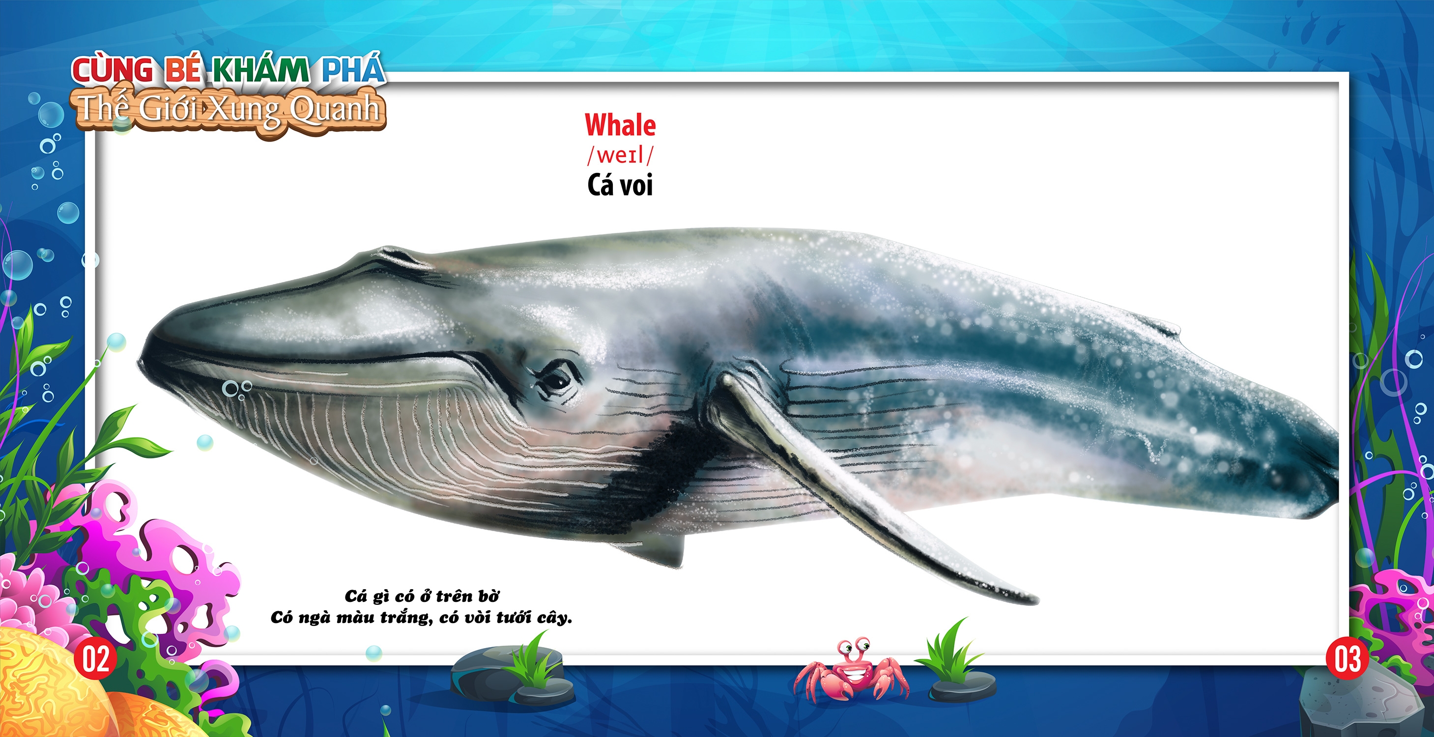 cùng bé khám phá thế giới xung quanh - động vật dưới nước (sách song ngữ)