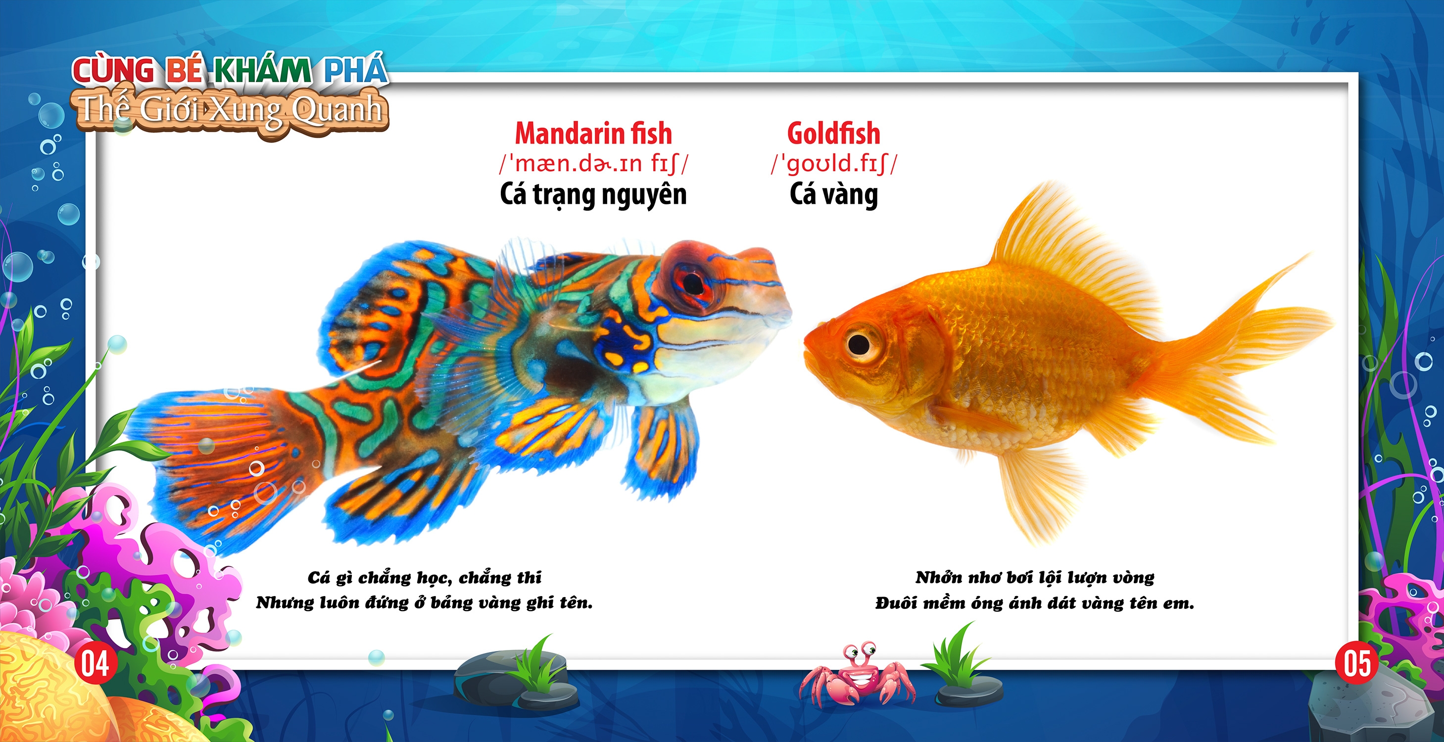 cùng bé khám phá thế giới xung quanh - động vật dưới nước (sách song ngữ)