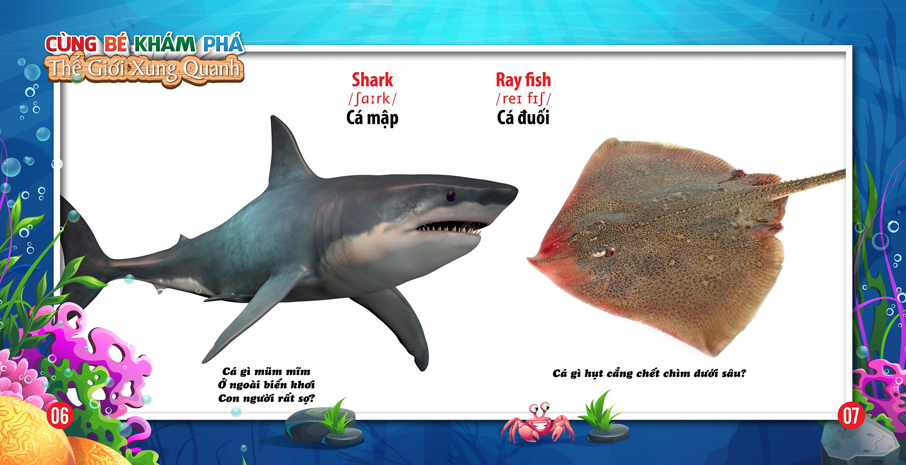 cùng bé khám phá thế giới xung quanh - động vật dưới nước (sách song ngữ)