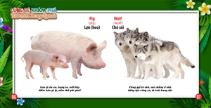 cùng bé khám phá thế giới xung quanh - động vật (sách song ngữ)