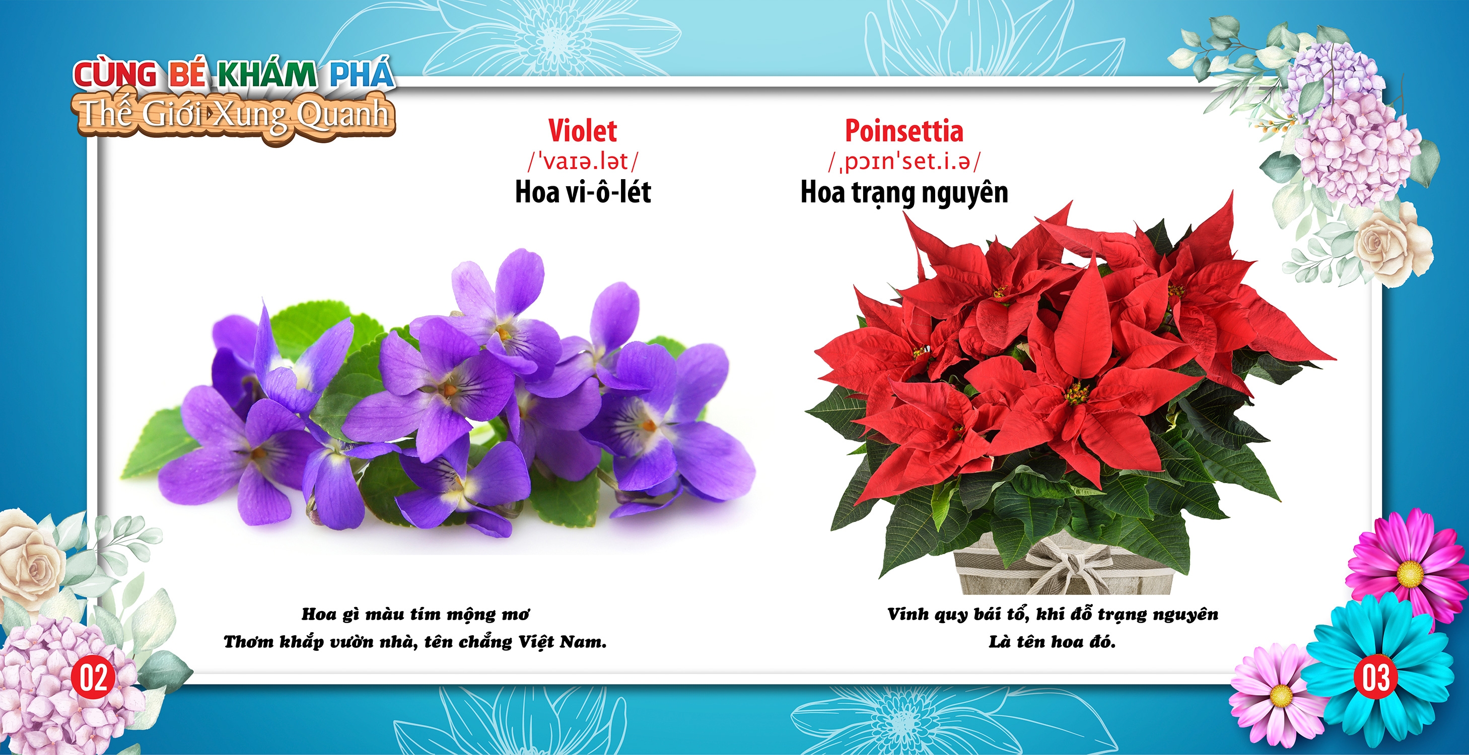 cùng bé khám phá thế giới xung quanh - hoa (sách song ngữ)