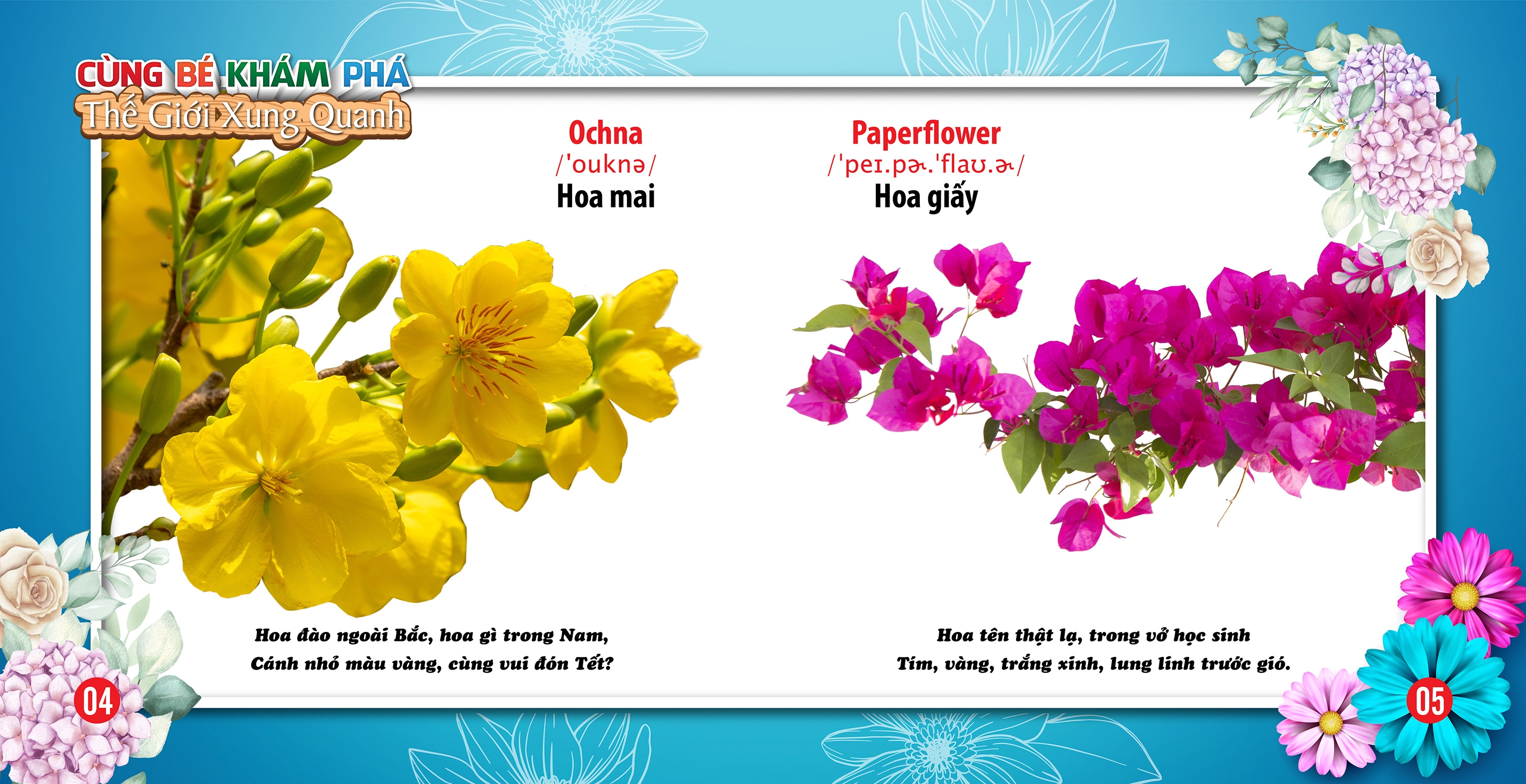 cùng bé khám phá thế giới xung quanh - hoa (sách song ngữ)