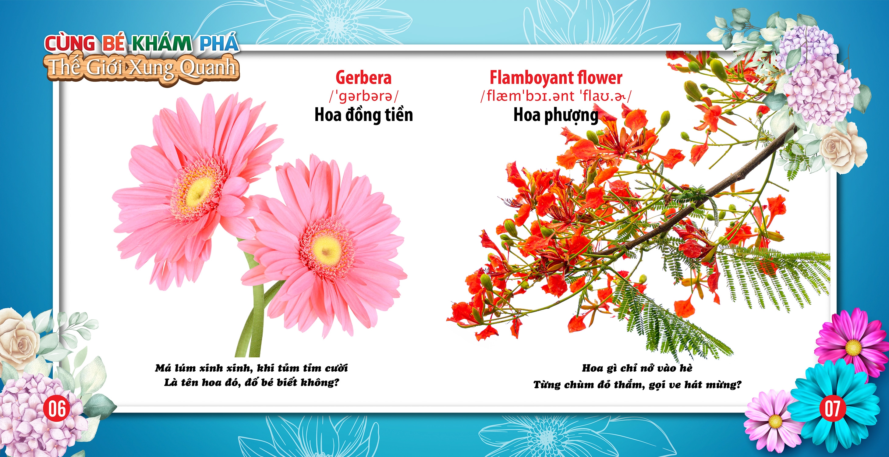 cùng bé khám phá thế giới xung quanh - hoa (sách song ngữ)