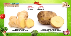 cùng bé khám phá thế giới xung quanh - rau củ (sách song ngữ)