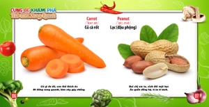 cùng bé khám phá thế giới xung quanh - rau củ (sách song ngữ)