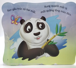 cùng bé yêu khám phá rừng xanh - chúng mình đã biết gì về loài gấu trúc