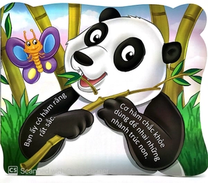 cùng bé yêu khám phá rừng xanh - chúng mình đã biết gì về loài gấu trúc