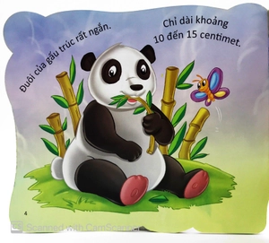 cùng bé yêu khám phá rừng xanh - chúng mình đã biết gì về loài gấu trúc